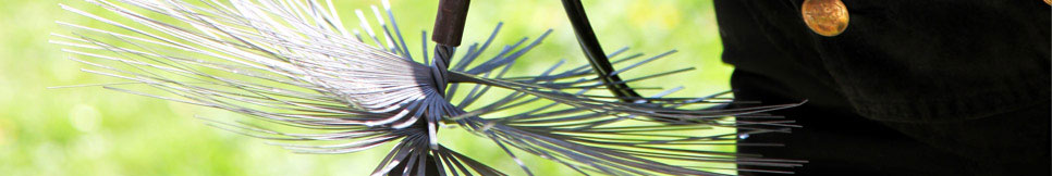 Banner - Stefanie Senßfelder